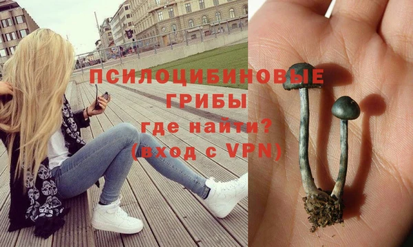 a pvp Богородицк